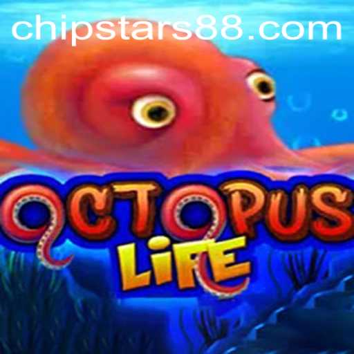 Immersive Gaming Experience with OctopusLife and Chipstars